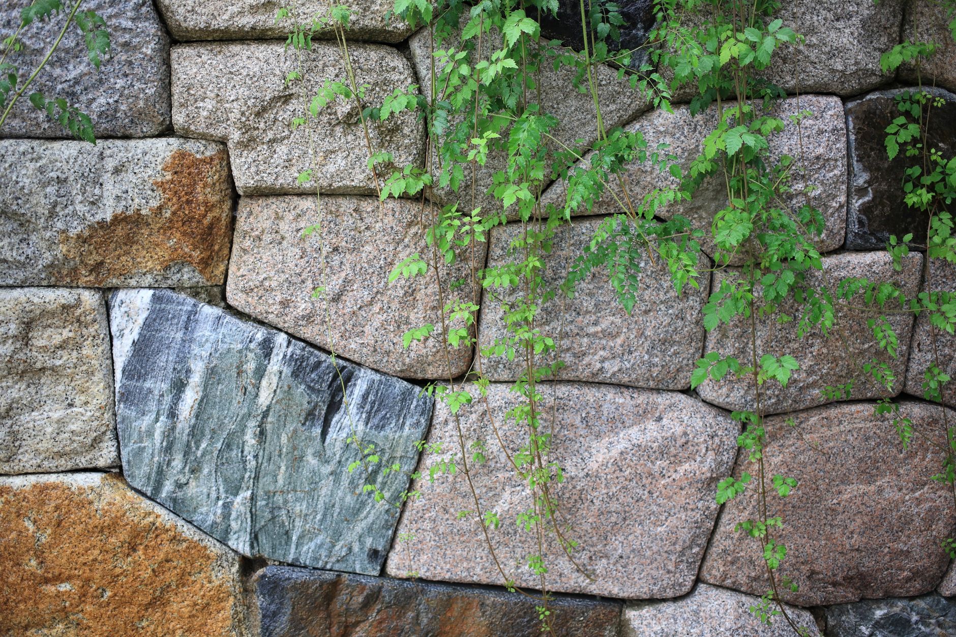 Paver installation Los Angeles