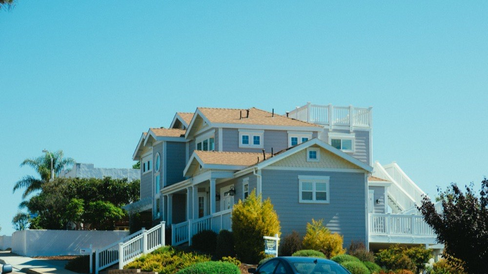 Coastal style home with palm and front planting